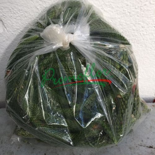 Araucaria Bags