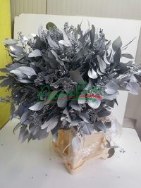 Eucalyptus Populifolia Berries Silver