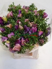 Anemone Mistral Super Cenere