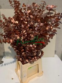 Eucalyptus Baby Blue Copper