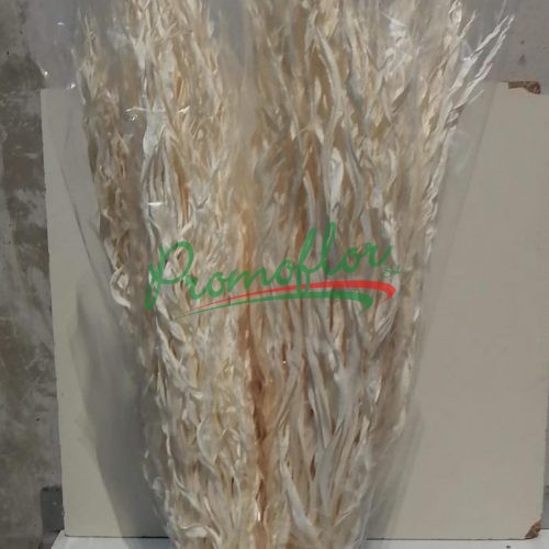 Anao Split Bleached