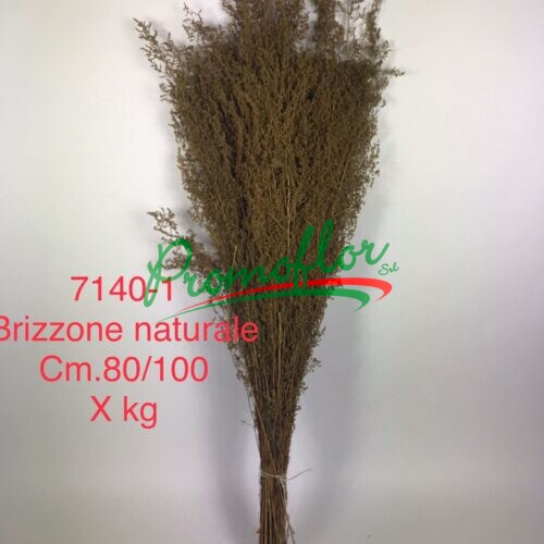 Brizzone Naturale