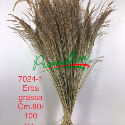 Erba Grassa Natural