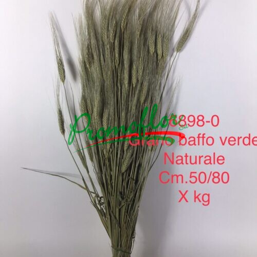 Grano Baffo Verde Naturale
