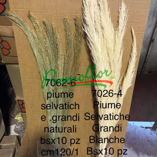 Piume Selvatiche