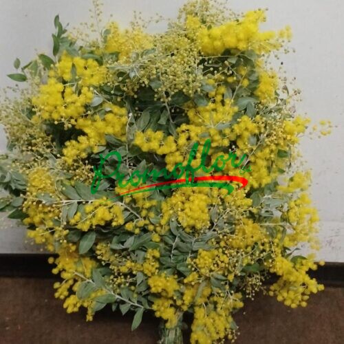 Acacia Denis Boden Flower 200 gr